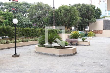 Apartamento para alugar com 70m², 3 quartos e 1 vaga Apartamento para alugar com 70m², 3 quartos e 1 vagaÁrea Comum