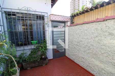 Casa à venda com 325m², 3 quartos e 1 vagaQuintal 3