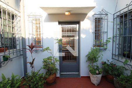 Casa à venda com 325m², 3 quartos e 1 vagaQuintal 3