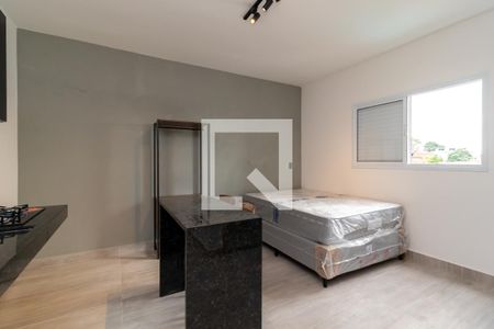 Studio para alugar com 30m², 1 quarto e sem vagaCozinha