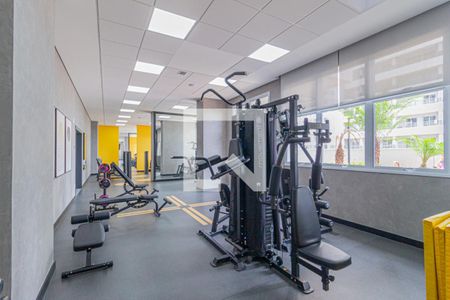 Apartamento à venda com 67m², 2 quartos e 1 vagaÁrea comum - Academia