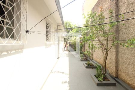 Casa à venda com 350m², 5 quartos e 3 vagasÁrea Externa