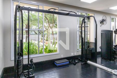 Apartamento para alugar com 57m², 2 quartos e 1 vagaAcademia