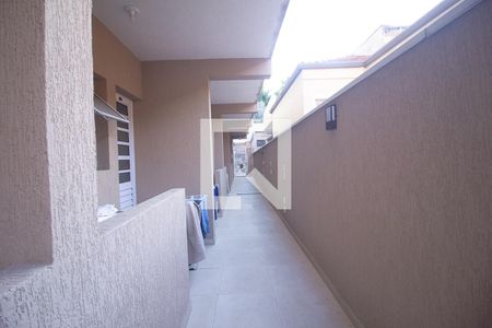 Studio para alugar com 20m², 1 quarto e sem vagaQuintal