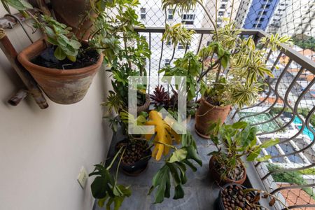 Apartamento à venda com 125m², 3 quartos e 2 vagas Apartamento à venda com 125m², 3 quartos e 2 vagasVaranda 2 da Suíte 3