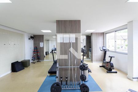 Apartamento para alugar com 63m², 2 quartos e 1 vaga Apartamento para alugar com 63m², 2 quartos e 1 vagaÁrea comum - Academia