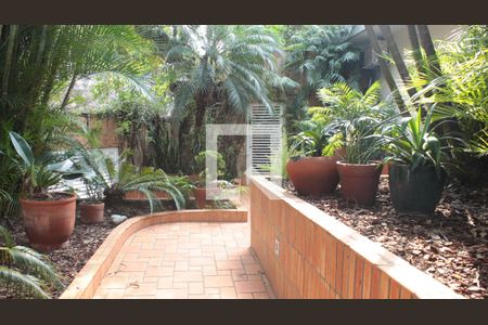 Casa para alugar com 560m², 6 quartos e 8 vagasQuintal