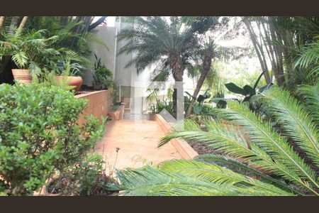 Casa para alugar com 560m², 6 quartos e 8 vagasQuintal