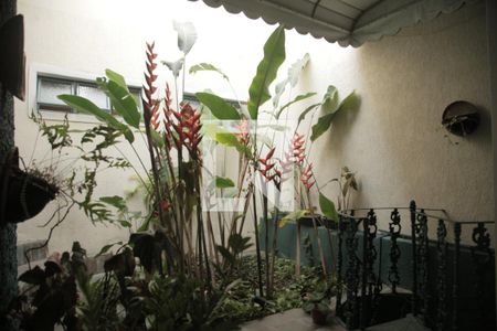 jardim de inverno de casa à venda com 4 quartos, 320m² em Piratininga, Niterói