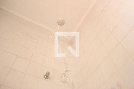 Banheiro de apartamento para alugar com 2 quartos, 55m² em Picanço, Guarulhos