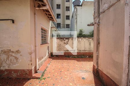 Casa para alugar com 300m², 5 quartos e 4 vagasQuintal