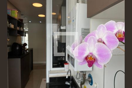 Apartamento à venda com 56m², 2 quartos e 1 vagaÁrea de Serviço - detalhe