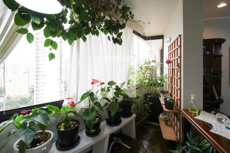 Sacada de apartamento para alugar com 3 quartos, 120m² em Indianópolis, São Paulo
