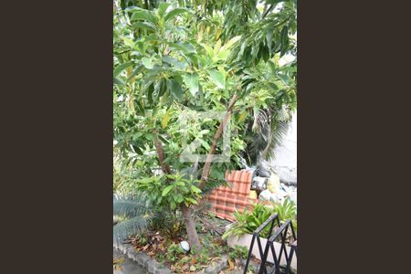 Casa para alugar com 300m², 4 quartos e 3 vagasJardim