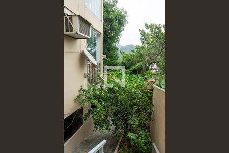 Casa à venda com 300m², 3 quartos e 2 vagasDetalhe quintal