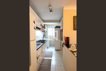 Cozinha de apartamento para alugar com 2 quartos, 50m² em Sacomã, São Paulo