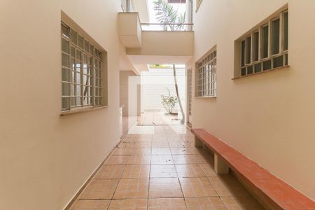 Casa para alugar com 327m², 3 quartos e 2 vagasQuintal
