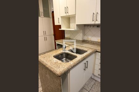 Apartamento para alugar com 206m², 5 quartos e 2 vagas Apartamento para alugar com 206m², 5 quartos e 2 vagasCozinha
