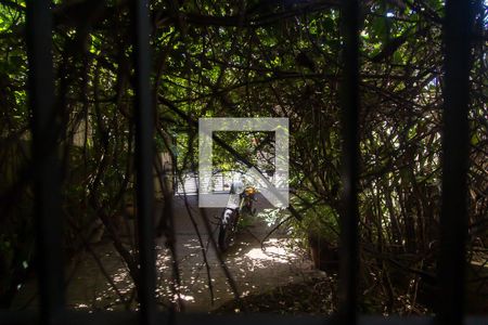 Vista da Sala de casa à venda com 4 quartos, 207m² em Indianópolis, São Paulo