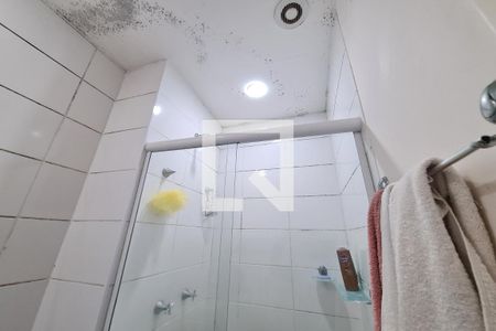 Banheiro de apartamento para alugar com 2 quartos, 49m² em Quinta da Paineira, São Paulo