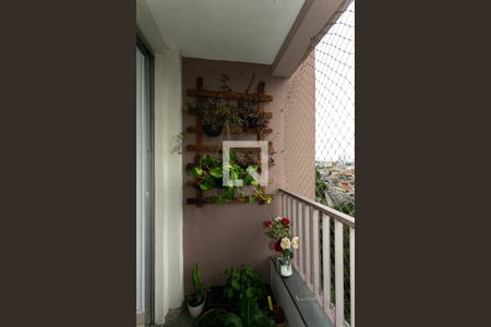 Varanda da Sala de apartamento para alugar com 3 quartos, 69m² em Vila Esperança, São Paulo
