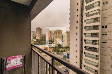 Kitnet/Studio para alugar com 1 quarto, 32m² em Vila Santa Catarina, São Paulo