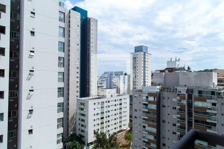 Vista da Varanda de apartamento para alugar com 1 quarto, 32m² em Vila Santa Catarina, São Paulo