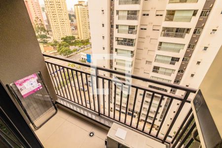 Kitnet/Studio para alugar com 1 quarto, 32m² em Vila Santa Catarina, São Paulo
