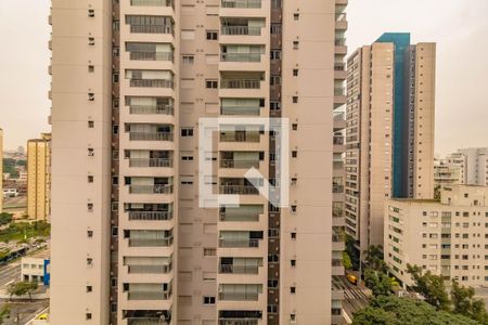 Kitnet/Studio para alugar com 1 quarto, 32m² em Vila Santa Catarina, São Paulo