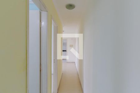 Corredor de apartamento para alugar com 2 quartos, 40m² em Vila Santa Teresa (zona Sul), São Paulo