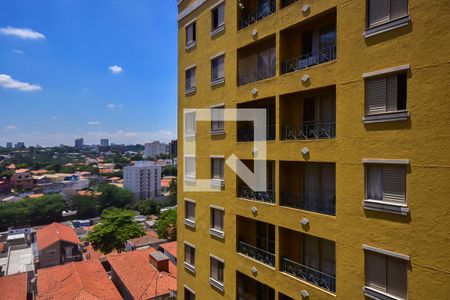 Apartamento para alugar com 64m², 3 quartos e 1 vaga Apartamento para alugar com 64m², 3 quartos e 1 vagaVista do Quarto 2