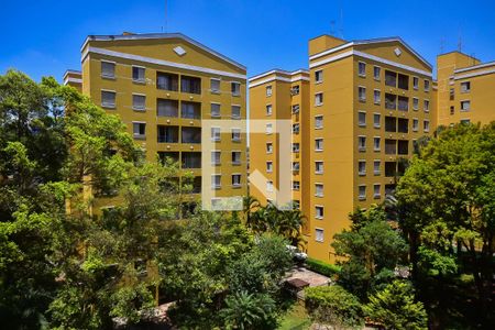 Apartamento para alugar com 64m², 3 quartos e 1 vaga Apartamento para alugar com 64m², 3 quartos e 1 vagaVista do Quarto 1