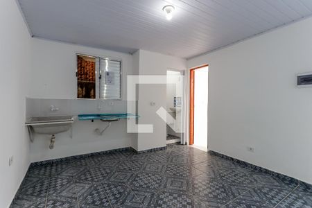 Sala/Cozinha de casa para alugar com 1 quarto, 28m² em Vila Nova Carolina, São Paulo