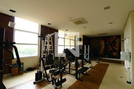 Apartamento à venda com 66m², 2 quartos e 1 vagaÁrea Comum - Academia