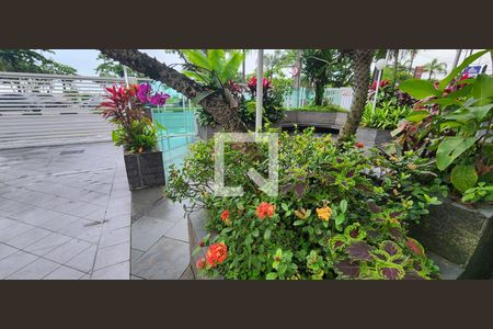 Apartamento para alugar com 44m², 1 quarto e sem vagaJardim