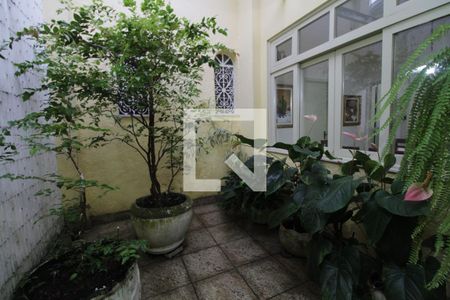 Casa à venda com 367m², 5 quartos e 6 vagasSala - jardim de inverno 