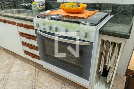 Casa para alugar com 500m², 4 quartos e 2 vagasDetalhe Cozinha-Fogão