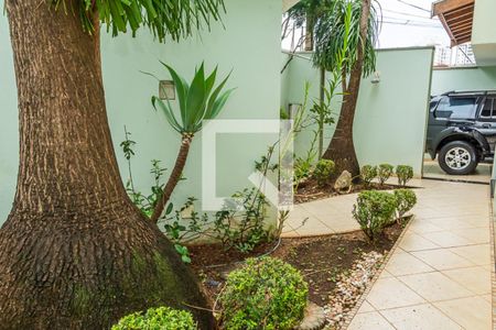 Casa para alugar com 500m², 4 quartos e 2 vagasÁrea  Externa-Frente da casa