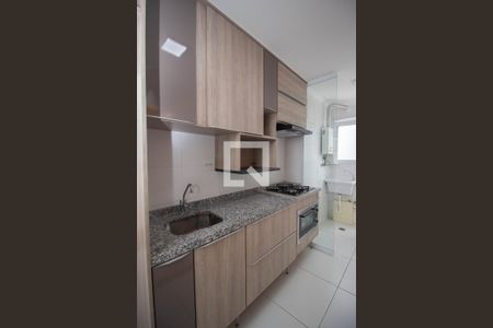 Apartamento para alugar com 47m², 2 quartos e 1 vagaCozinha - Armários
