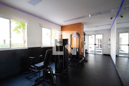 Apartamento para alugar com 50m², 2 quartos e 1 vaga Apartamento para alugar com 50m², 2 quartos e 1 vagaÁrea comum - Academia