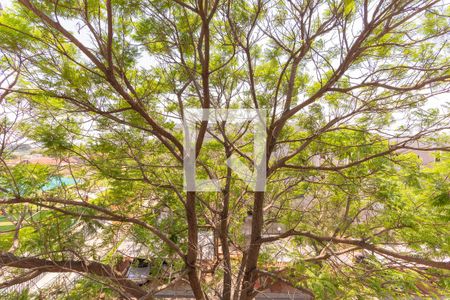 Apartamento para alugar com 47m², 2 quartos e 1 vaga Apartamento para alugar com 47m², 2 quartos e 1 vagaVista do Quarto 1