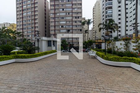 Apartamento para alugar com 208m², 4 quartos e 4 vagasÁrea comum 