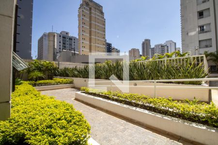 Apartamento à venda com 58m², 1 quarto e 1 vaga Apartamento à venda com 58m², 1 quarto e 1 vagaÁrea comum - Pátio