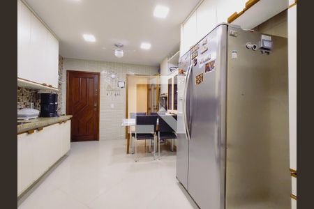 Apartamento à venda com 260m², 3 quartos e 2 vagasCozinha - Armários