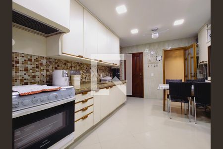 Apartamento à venda com 260m², 3 quartos e 2 vagasCozinha - Armários