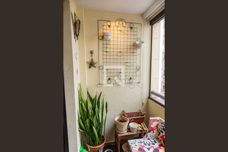 Varanda de apartamento para alugar com 3 quartos, 67m² em Cambuci, São Paulo