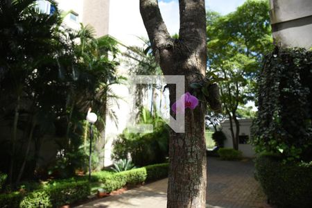 Apartamento para alugar com 50m², 2 quartos e 1 vagaÁrea comum