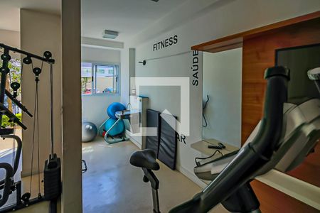 Apartamento para alugar com 70m², 3 quartos e 1 vaga Apartamento para alugar com 70m², 3 quartos e 1 vagaÁrea comum - Academia