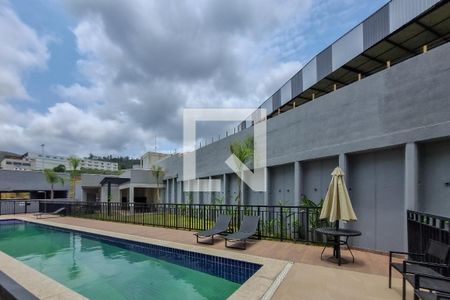 Área comum - Piscina de apartamento para alugar com 2 quartos, 88m² em Buritis, Belo Horizonte
