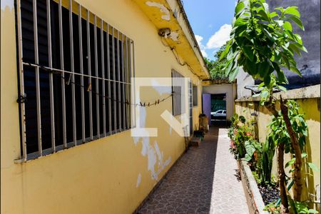 Casa à venda com 280m², 5 quartos e 3 vagas Casa à venda com 280m², 5 quartos e 3 vagasCorredor Lateral